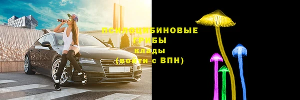 прущая мука Арсеньев