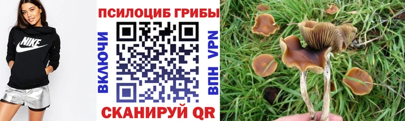 Псилоцибиновые грибы прущие грибы блэк спрут как войти Сосновый Бор где купить наркотик