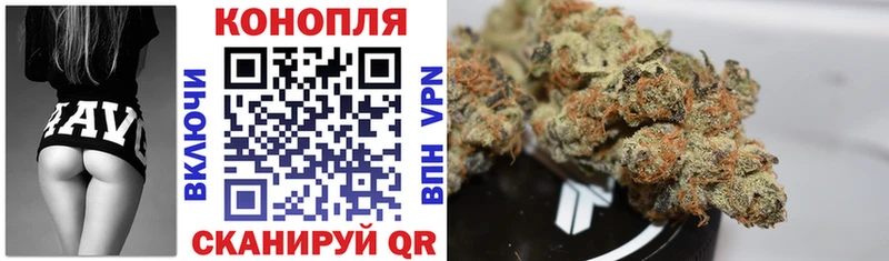 kraken сайт Сосновый Бор Бошки Шишки SATIVA & INDICA